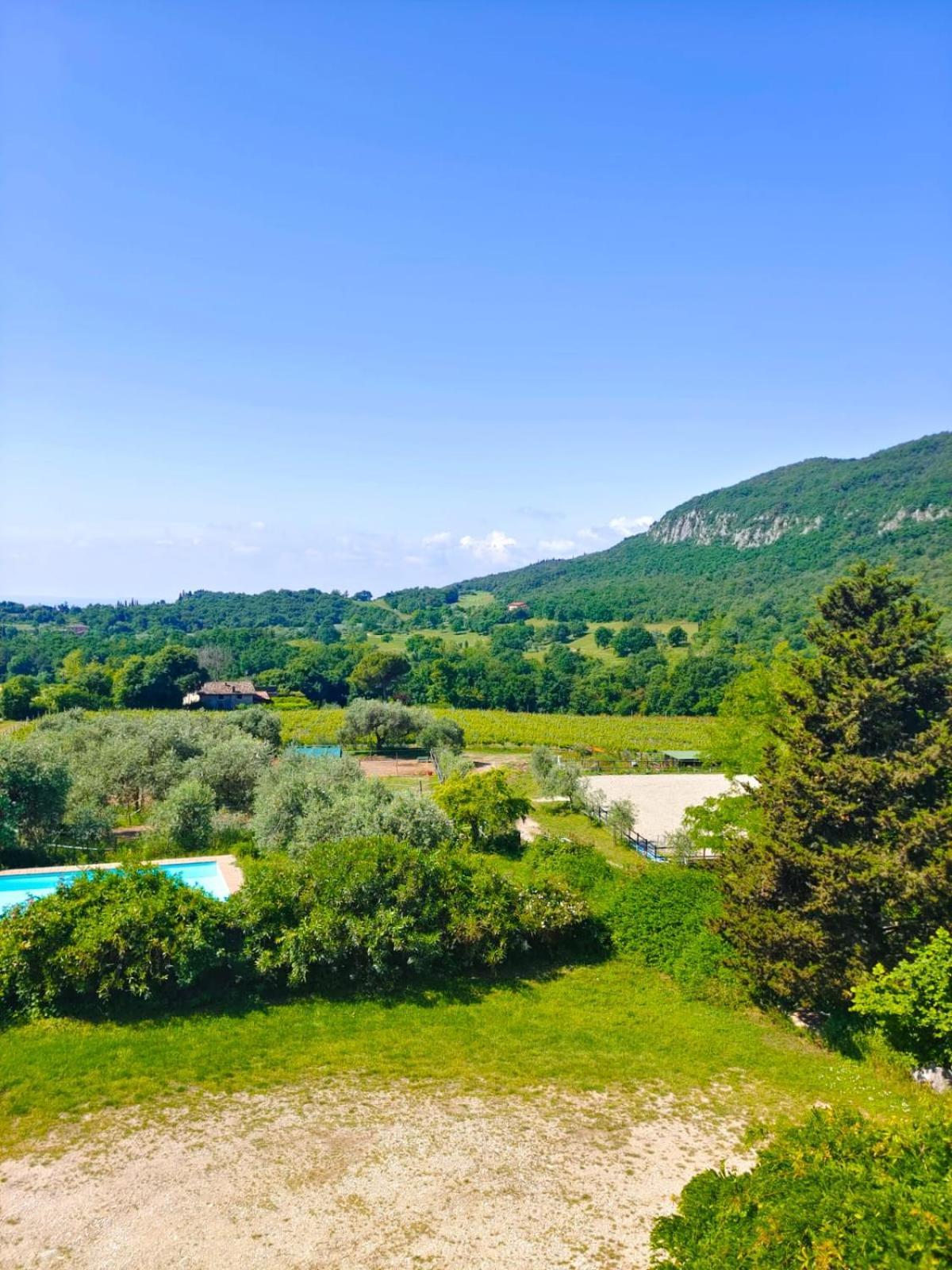Appartement Il Rovero à Castion Veronese Extérieur photo