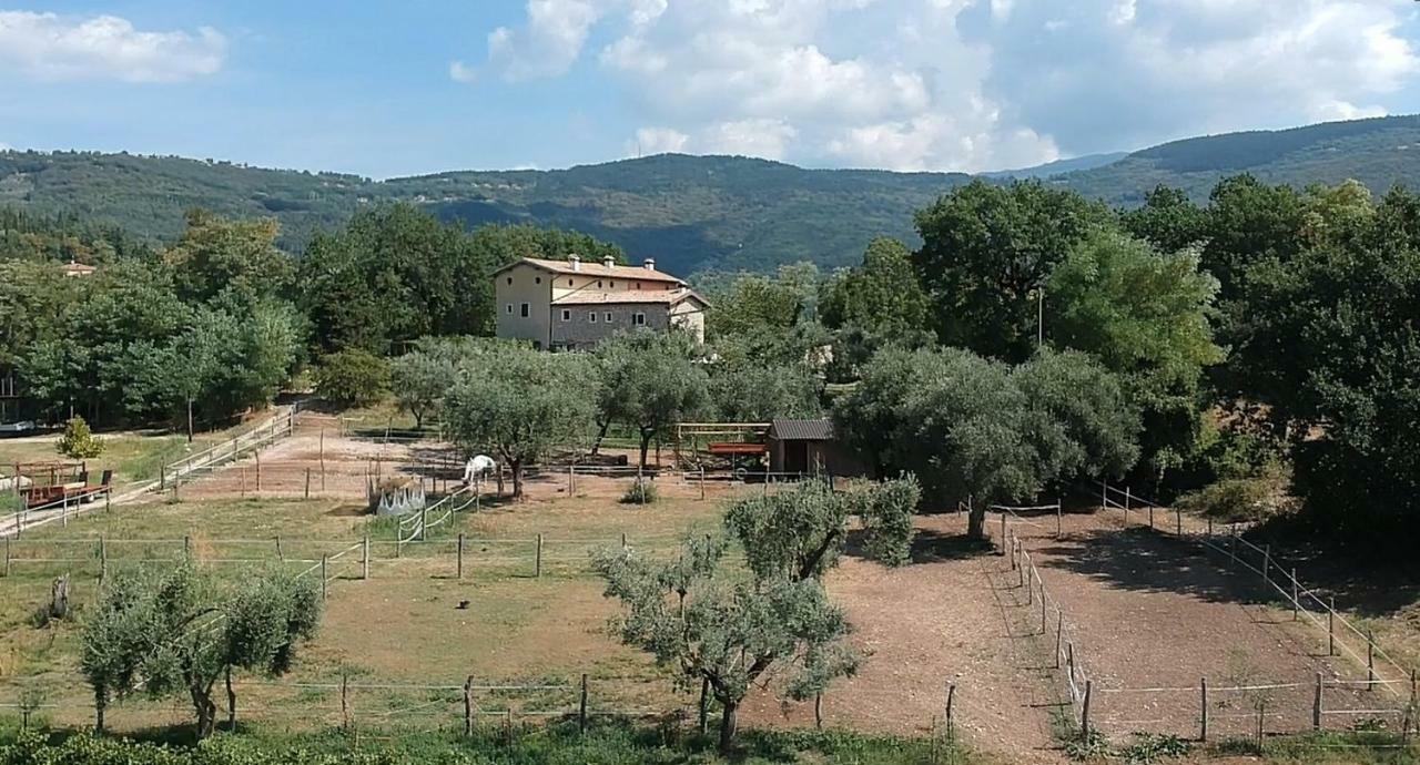 Appartement Il Rovero à Castion Veronese Extérieur photo